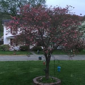 Meet your Posher, Vera